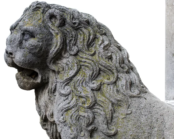 Detalj kolumn-bärande lejon ristade i sten av katedralen Altamura. Italien — Stockfoto