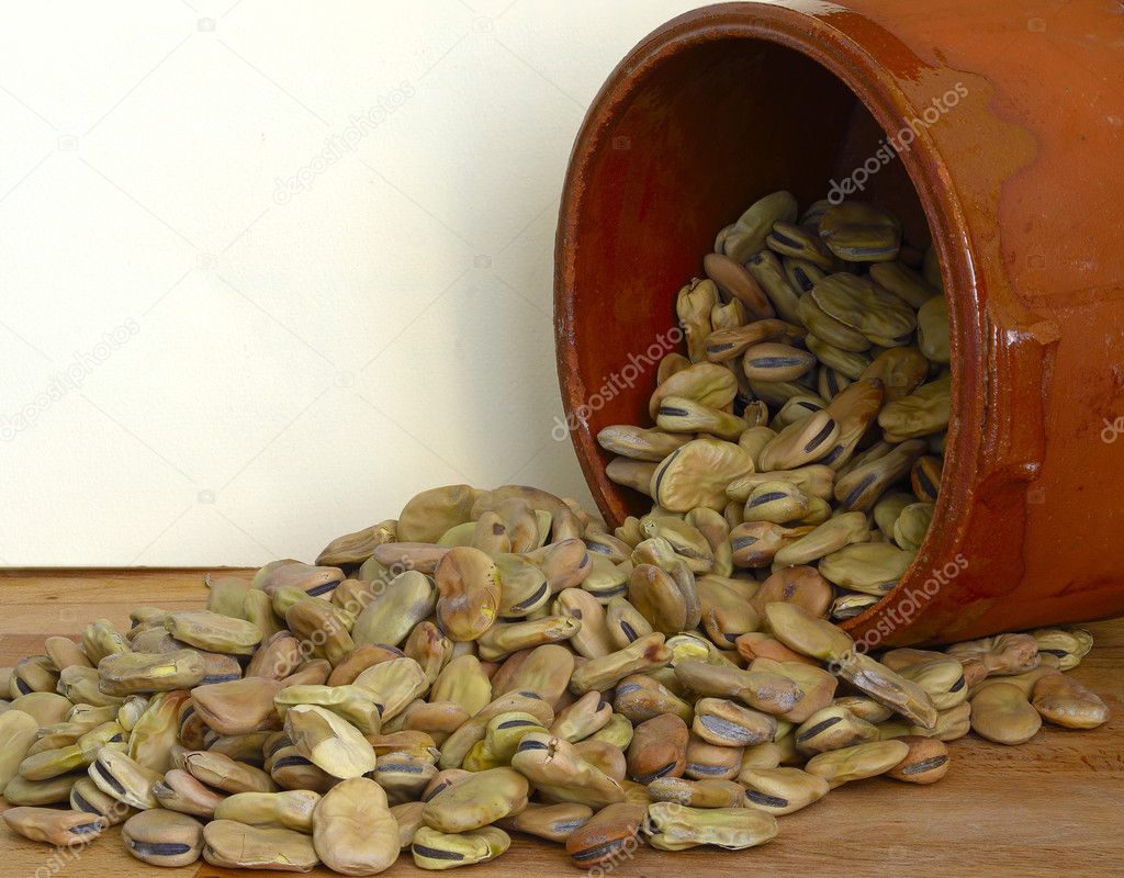 Dried fava beans poured from a container in terracotta