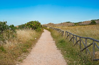 Berrak mavi gökyüzü altında, kırsal ahşap çitler ve doğal bitki örtüsüyle çevrili, güneşten sırılsıklam olmuş tarlalarda dolan sakin bir toprak yol. Yolculuğu, kaçışı ve doğanın güzelliğini çağrıştırıyor. Seyahat, macera ve manzara temaları için mükemmel.