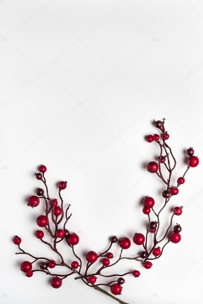 Red berries holly on white