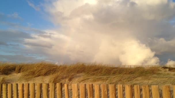 Kustlijn bij zonsondergang, real time op de Stille Oceaan op winderige avond door zandduinen. — Stockvideo