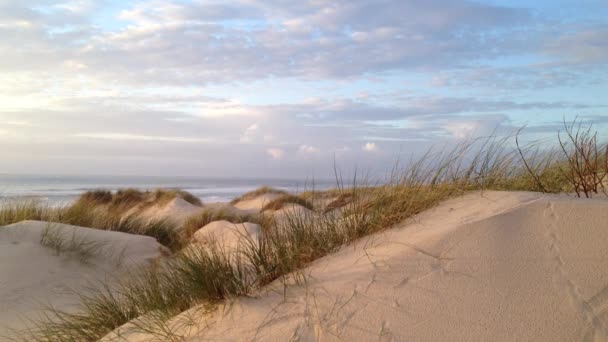 Kustlijn bij zonsondergang, real time op de Stille Oceaan op winderige avond door zandduinen. — Stockvideo