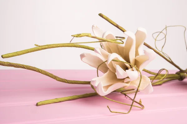 Witte gardenia bloesem — Stockfoto
