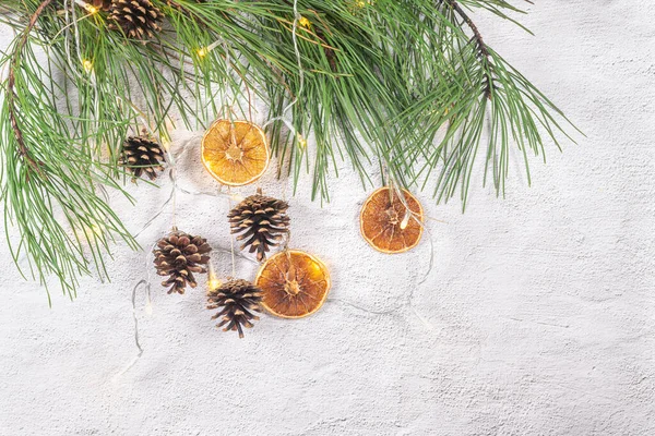Christmas Background Pine Tree Branches Decorated Dried Oranges Cone Pine — Stock Photo, Image