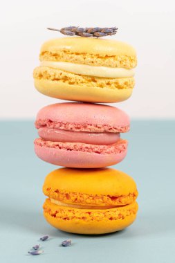 Turkuaz arka planda pasta ya da badem kurabiyeleri, pastel renkler, klasik kartlar.