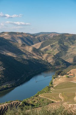 Douro Vadisi, Portekiz. Nehir manzaralı ve üzüm bağları tepelerde..