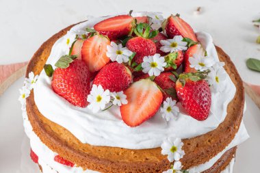 Çilekli pasta, çilekli kek taze çilekli ve beyaz arka planda ekşi krema.