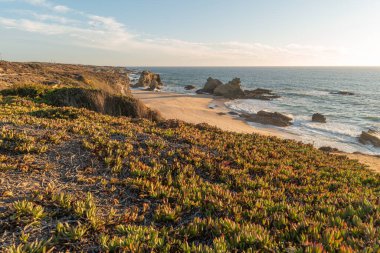 Alentejo Portekiz 'de Porto Covo' da taşlı Samouqueira plajı.
