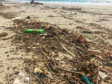 Portekiz, Ovar 'daki Furadouro plajında plastik atık. Çöp, plastik, çöp, şişe ve odun enkazı. Kumsaldaki çevre kirliliği.