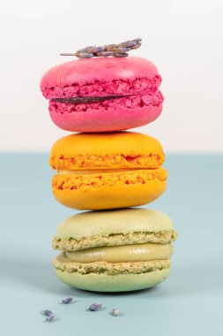 Turkuaz arka planda pasta ya da badem kurabiyeleri, pastel renkler, klasik kartlar.