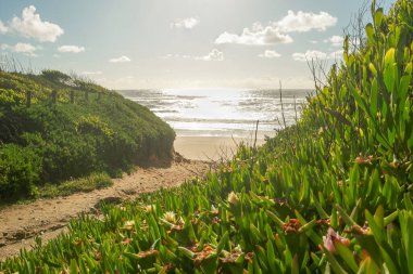 Sao Pedro de Maceda plajında gün batımı manzarası. Ovar, Portekiz.