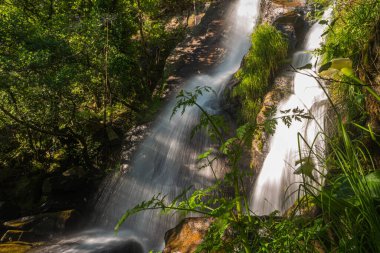 Filveda Şelalesi 'ndeki güzel su akıntısı, Sever do Vouga, Portekiz. Uzun süre maruz kalma efekti. Idyllic yeşil manzarası, dağ ormanı manzarası.