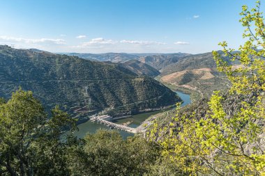 Douro Vadisi, Portekiz. Nehir manzaralı ve üzüm bağları tepelerde..
