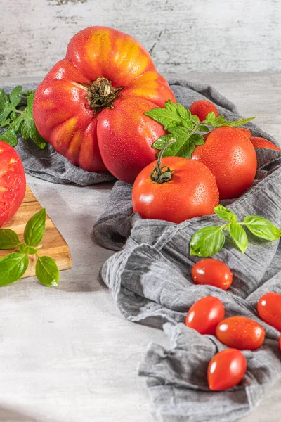 Large Variety Tomatoes Rustic Kitchen Counter Preparation Tomato Sauce Onions — Stock Photo, Image