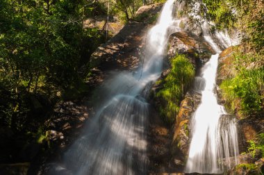 Filveda Şelalesi 'ndeki güzel su akıntısı, Sever do Vouga, Portekiz. Uzun süre maruz kalma efekti. Idyllic yeşil manzarası, dağ ormanı manzarası.
