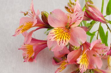 Ahşap üzerine bir güzel alstroemeria çiçekler buket