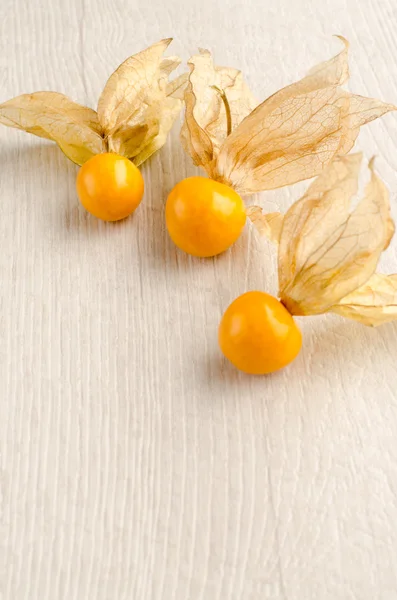 Physalis fruit closeup — Stock Photo, Image