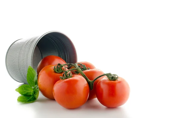 Bucketful of fresh ripe tomatoes, isolated on white background — Stock Photo, Image