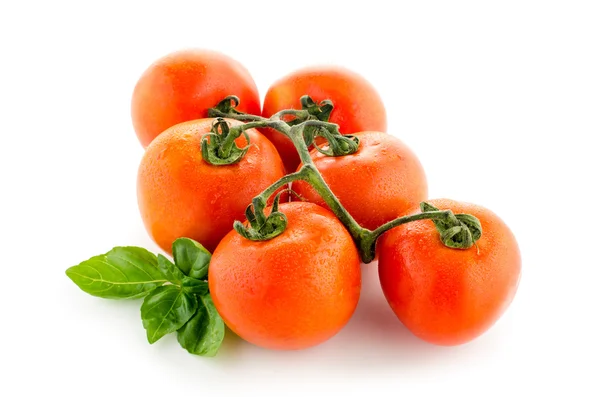 Fresh ripe tomatoes, isolated on white background — Stock Photo, Image