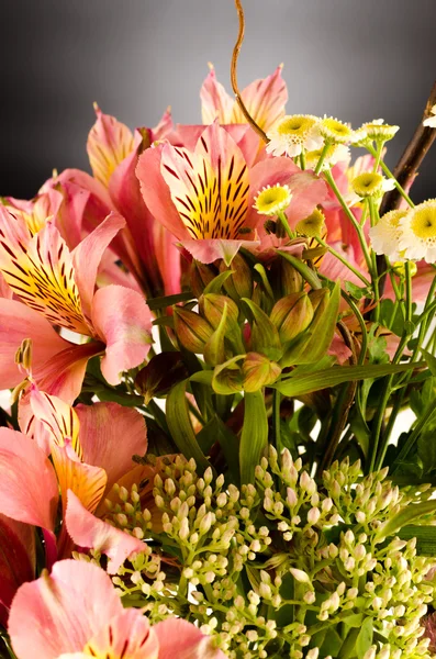 Bouquet of a beautiful alstroemeria flowers — Stock Photo, Image