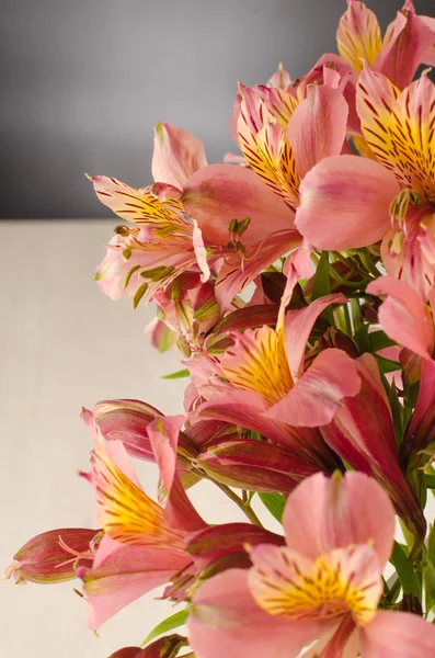 Bouquet of a beautiful alstroemeria flowers on wood — Stock Photo, Image
