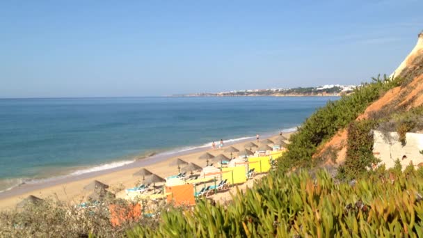 Scenariul plajei Algarve (Praia da Falesia - Albufeira), Portugalia — Videoclip de stoc