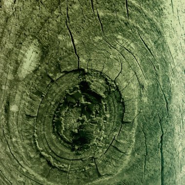 Retro vintage ahşap doku, vektör arka plan. soyut