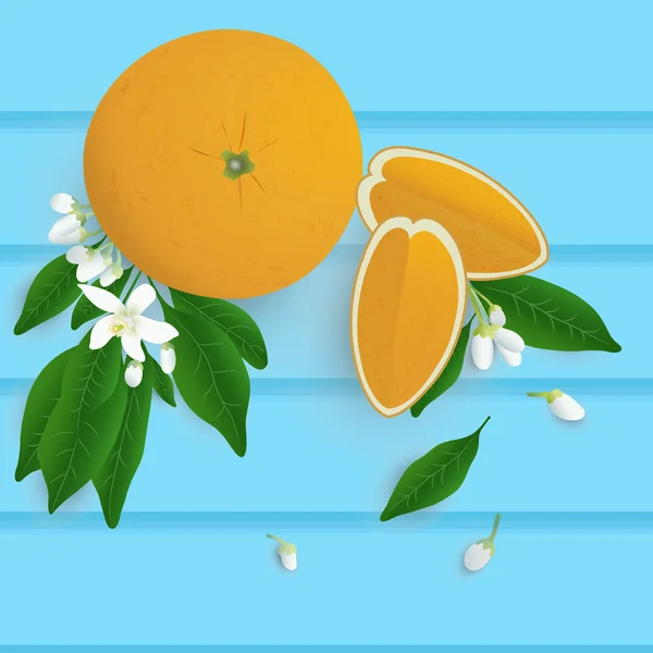 Fruit orange entier avec feuille, tranche et fleur sur fond de bois — Image vectorielle