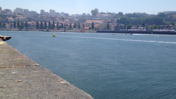 PORTO, PORTUGAL - 1 DE AGOSTO DE 2015: Pruebas del equipo de Motorglass F1 durante la U.I.M. F1 H2O World Championship barco a motor en Oporto, Portugal . — Vídeos de Stock