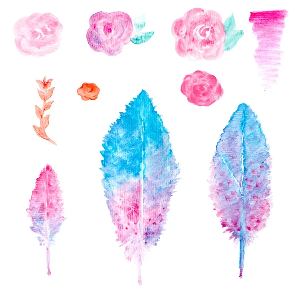 Elegant set with watercolor elements. watercolor drawing feather — Stock Photo, Image