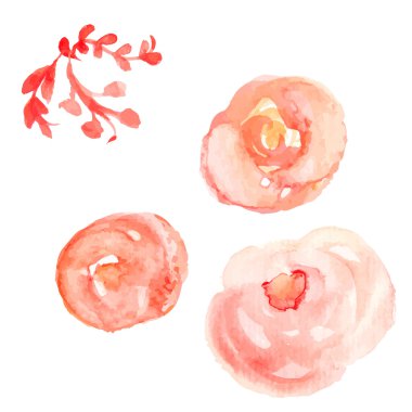 Suluboya çiçek vektör. Yuvarlak suluboya çiçek. Soyut Flo