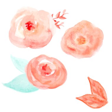 Suluboya çiçek vektör. Yuvarlak suluboya çiçek. Soyut Flo