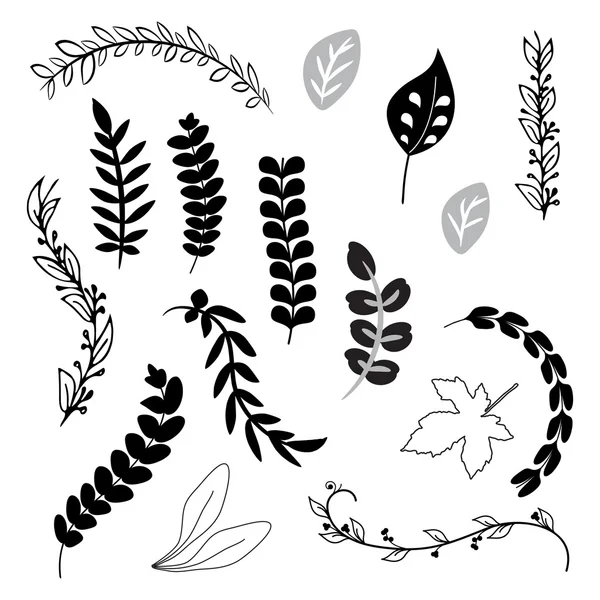 El çekilmiş hassas dekoratif vintage koleksiyonu siyah beyaz yaprakları