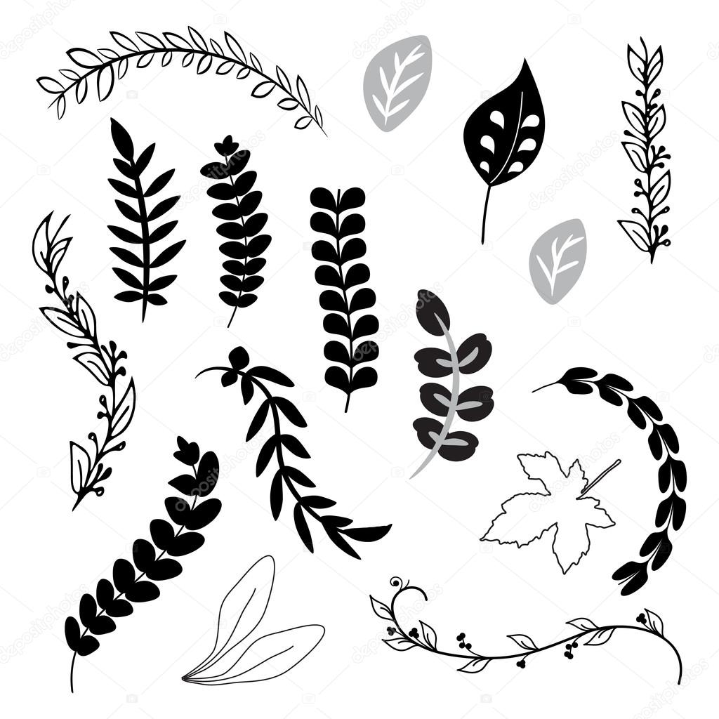 Una colección de vintage decorativo delicado dibujado de la mano las