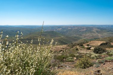 Castelo Melhor in miradouro de Sao Gabriel 'in hava manzarası, Vila Nova de Foz Coa, Portekiz