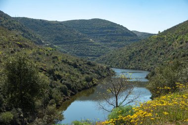 Alto Douro Şarap Bölgesi, Vila Nova de Foz Coa, Portekiz yakınlarındaki gözlem noktasından görüş..