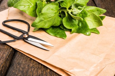 ahşap zemin ıspanak yaprakları