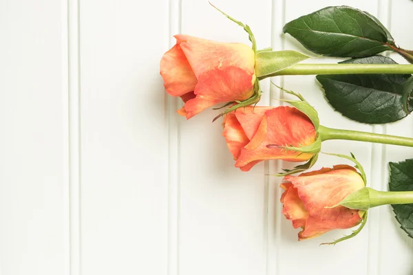 Un ramo de rosas naranjas sobre una mesa de madera. Copiar espacio — Foto de Stock