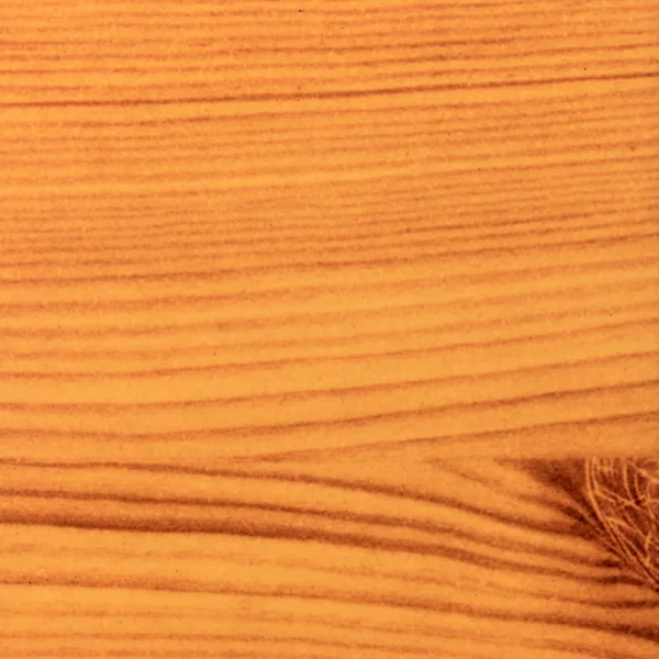 Wood'un tahıl üzerinde odaklanılan soyut ahşap doku. Çam — Stok fotoğraf
