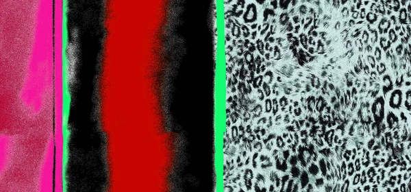 Farby Baner Druku Zwierząt Tapety Cyfrowe — Zdjęcie stockowe
