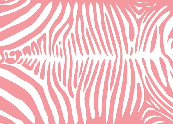 Zebra Tisk Bílém Pozadí Digitální Tapety — Stock fotografie