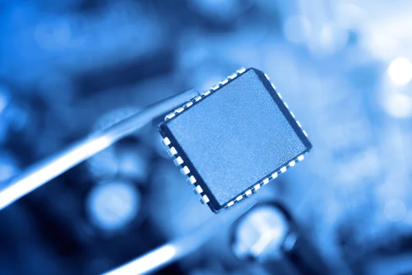 Pincett anläggning mikrochip — Stockfoto