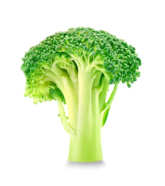 Fresh green Broccoli — Stock Photo, Image