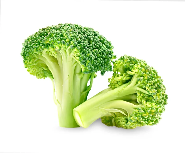 Fresh green Broccoli — Stock Photo, Image