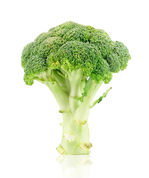 Fresh green broccoli — Stock Photo, Image