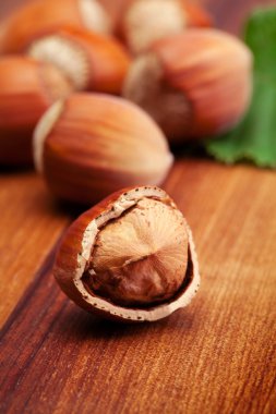 Grup kahverengi fındık