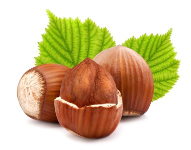 Olgun kahverengi fındık