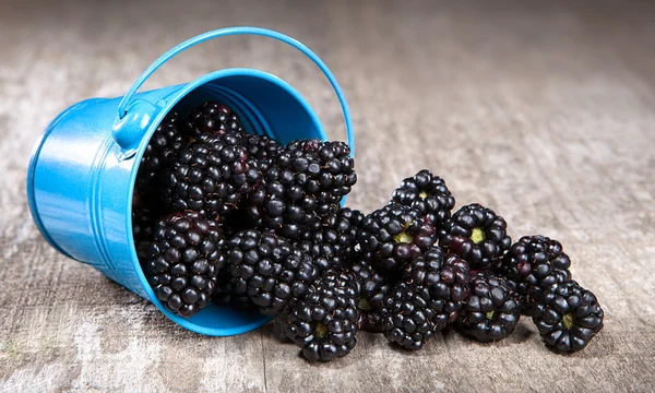 Blackberry in little blue bucket — Stock Photo, Image