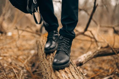 Sonbaharda ormanda bir yürüyüş.