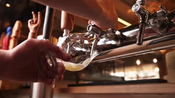 Барман відкриває пивний кран. Бармен виливає свіже пиво в скло з бульбашками закритими вгору. Pale або ремісничий лагер — стокове відео